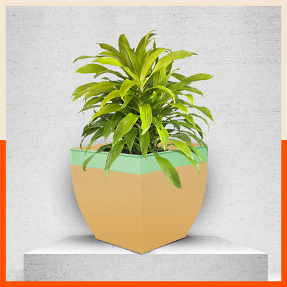 MYLA Metal Square Planters / Pots for Home / Garden /  Balcony | Large – Mynt & Tea