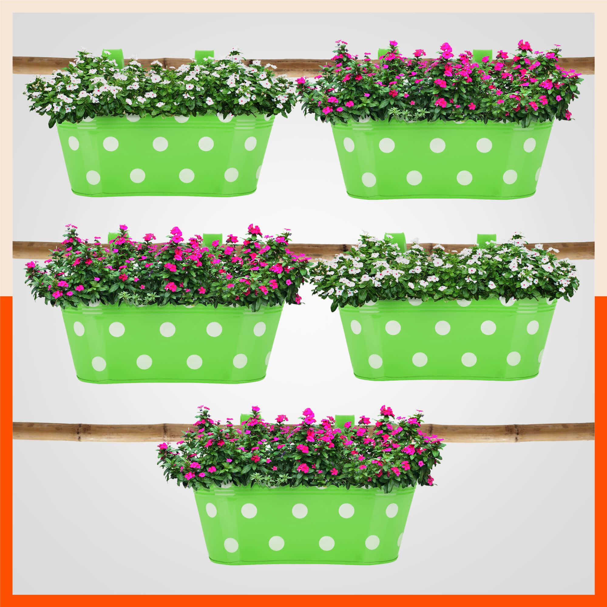 ARA Hanging Metal Pot Holders / Planters for Home / Balcony / Garden | Set of 5 - Green