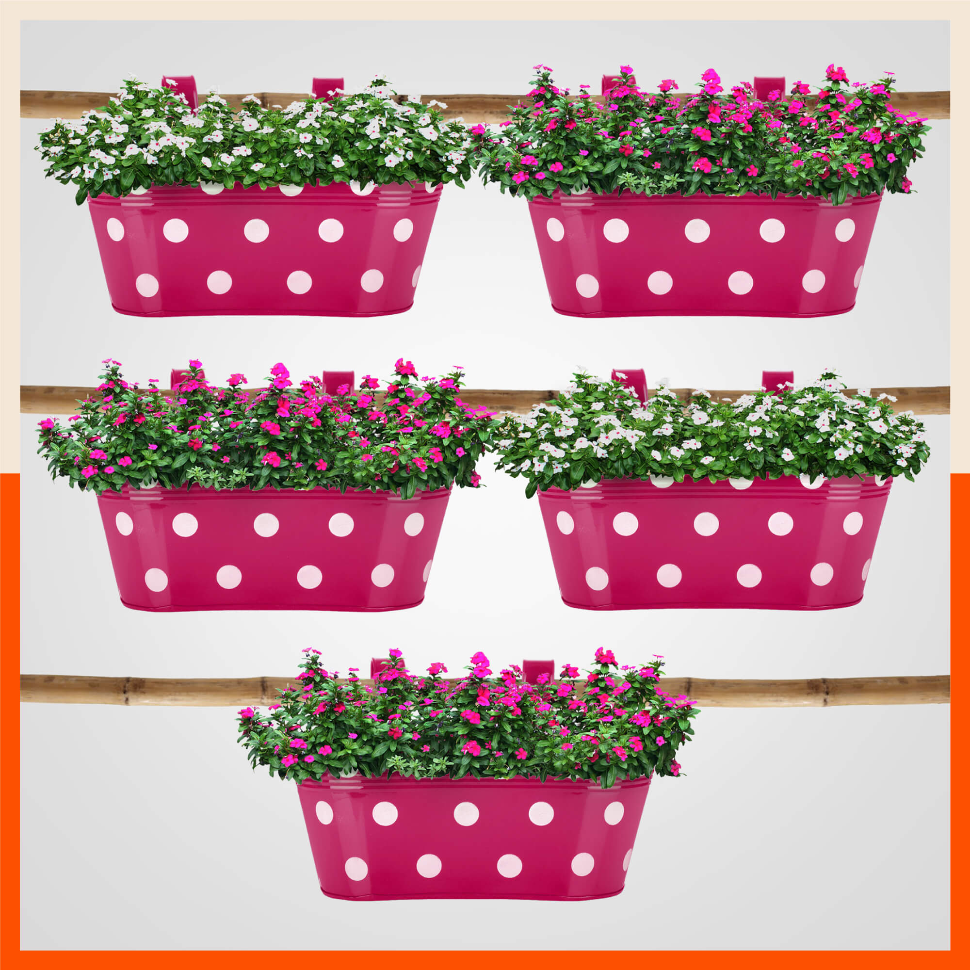 ARA Hanging Metal Pot Holders / Planters for Home / Balcony / Garden | Set of 5 - Pink