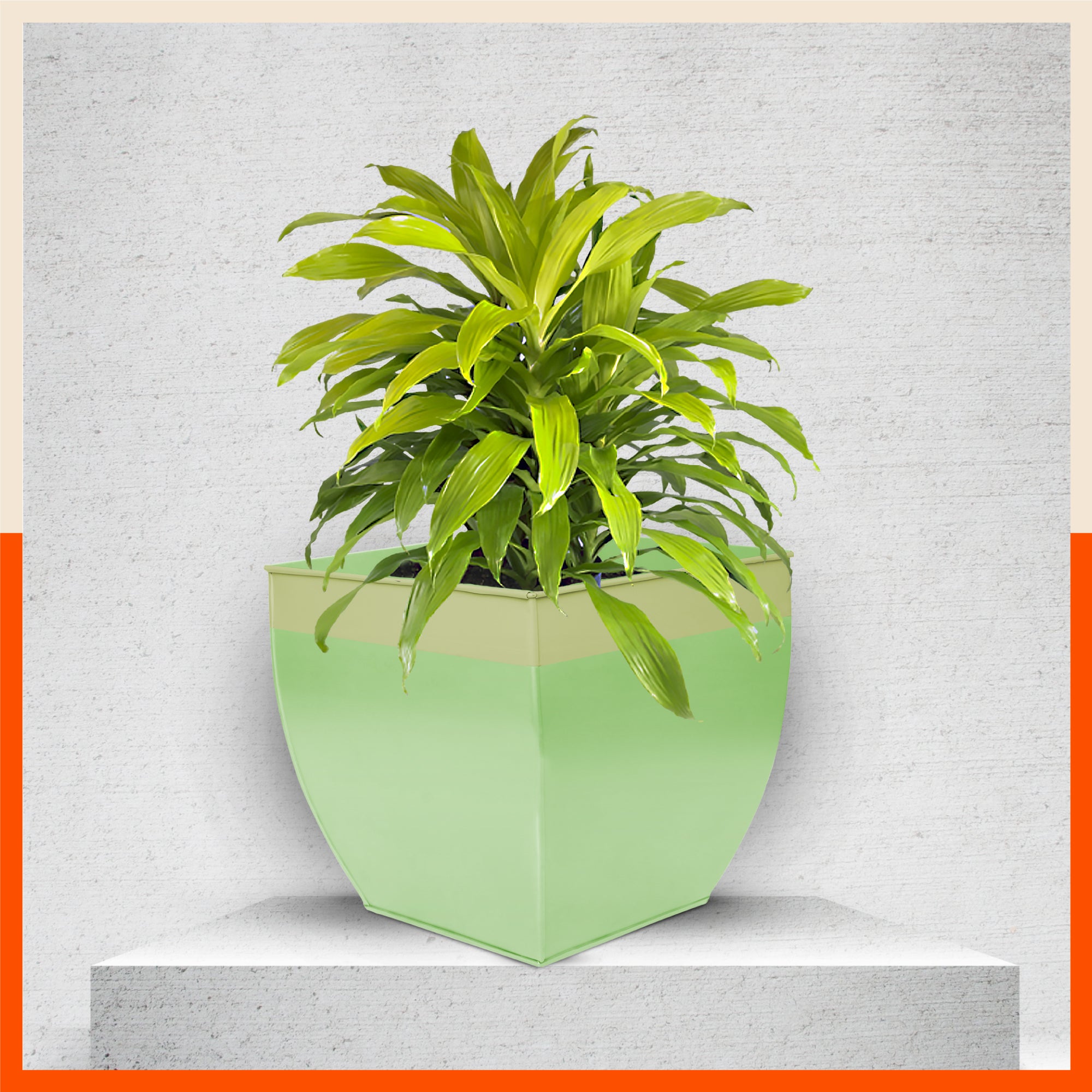 MYLA Metal Square Planters / Pots for Home / Garden /  Balcony | Large – Tree & Lawn