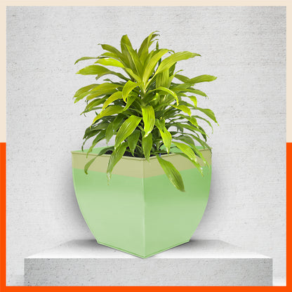 MYLA Metal Square Planters / Pots for Home / Garden /  Balcony | Large – Tree & Lawn