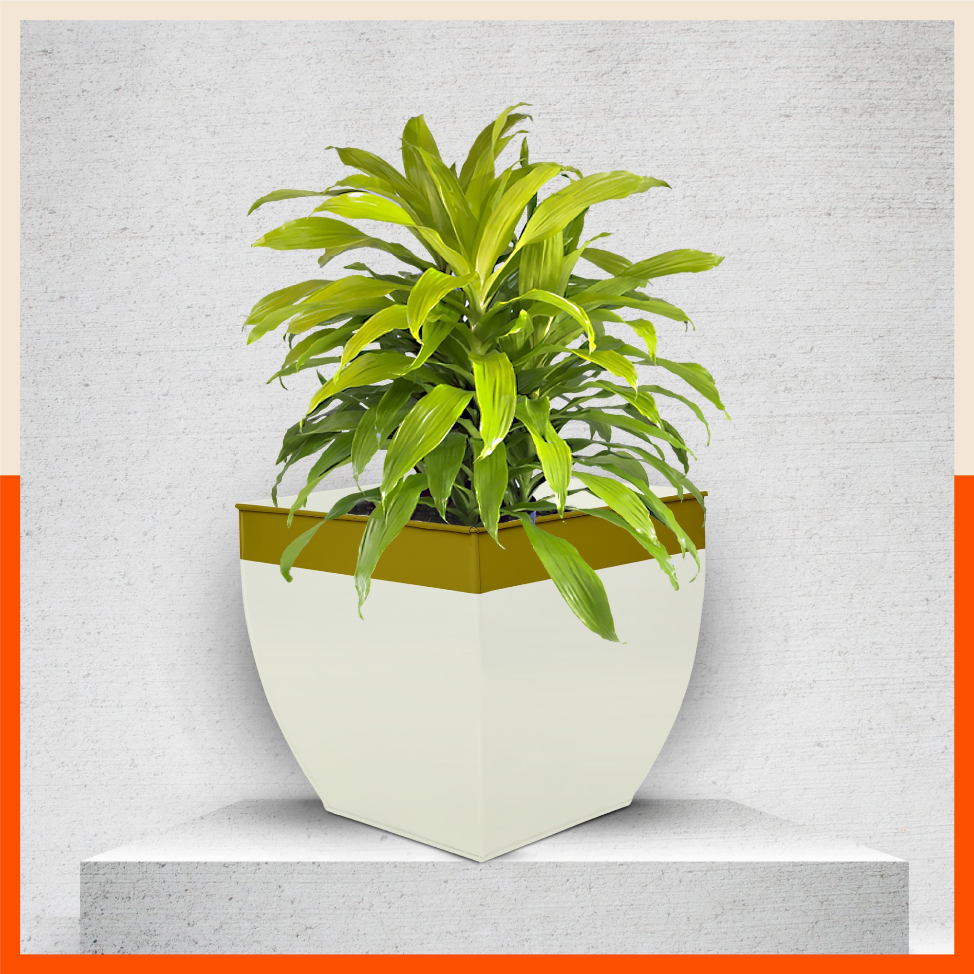 MYLA Metal Square Planters / Pots for Home / Garden /  Balcony | Large – White & Bronze